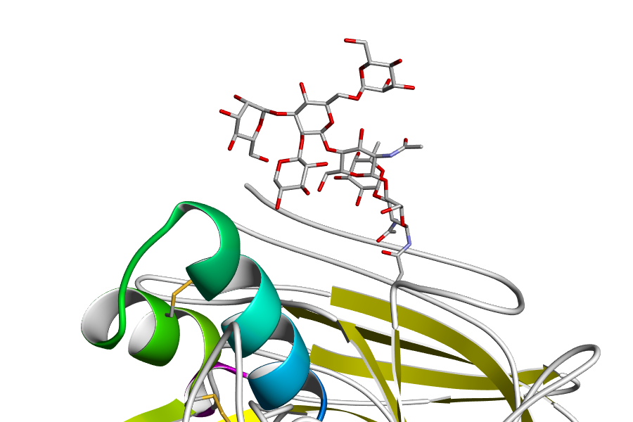 Glycoproteins, PDB:1AX0